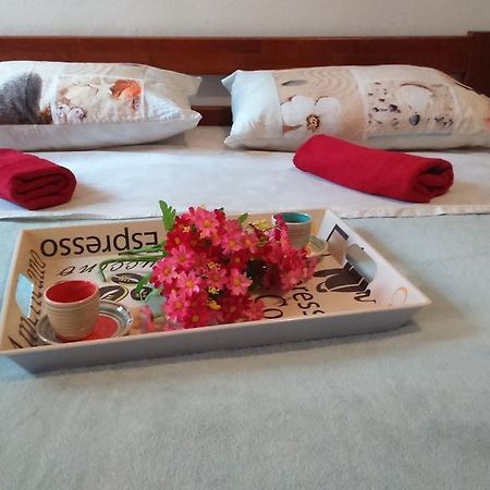 Apartment Vladka Izola Kültér fotó